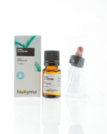 PINO SILVESTRE gemme